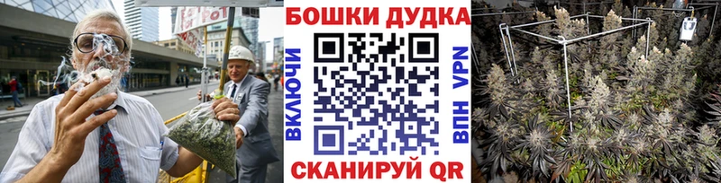 Виды наркотиков купить Мончегорск COCAIN  Гашиш  СОЛЬ  Бошки Шишки 
