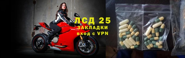 твердый Сосновый Бор